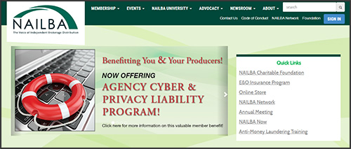 Screenshot of NAILBA's website