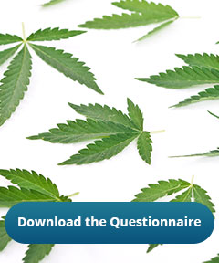 Download the Drug Use Questionnaire