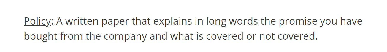 Screenshot of text that reads: 'Policy: A written paper that explains in long words the promise you have bought from the company and what is covered or not covered.'