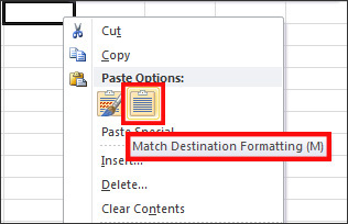 Paste data into an Excel spreadsheet