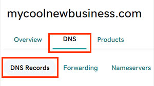 Screenshot of the GoDaddy menu that offers DNS management options