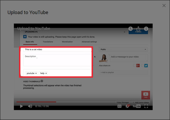 YouTube video metadata shown in the Basic info tab