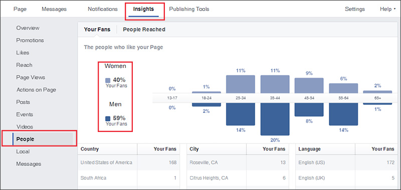 Facebook Insights demographic data