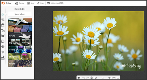PicMonkey: a tool to make a quick sharable image for social media