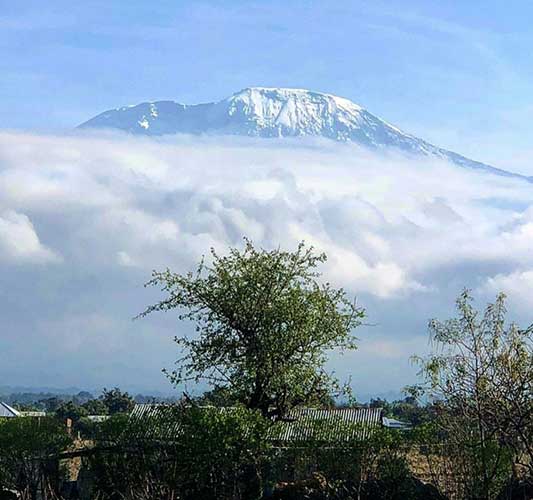 A view from the ground of Mount Kilimanjaro in the distance, with the snow-topped peak surrounded by a veil of clouds.