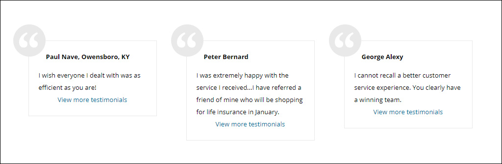 Sample testimonial snippets on website