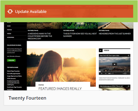 WordPress theme update notification