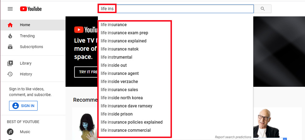 Screenshot of a YouTube search query with their auto-suggestions highlighted
