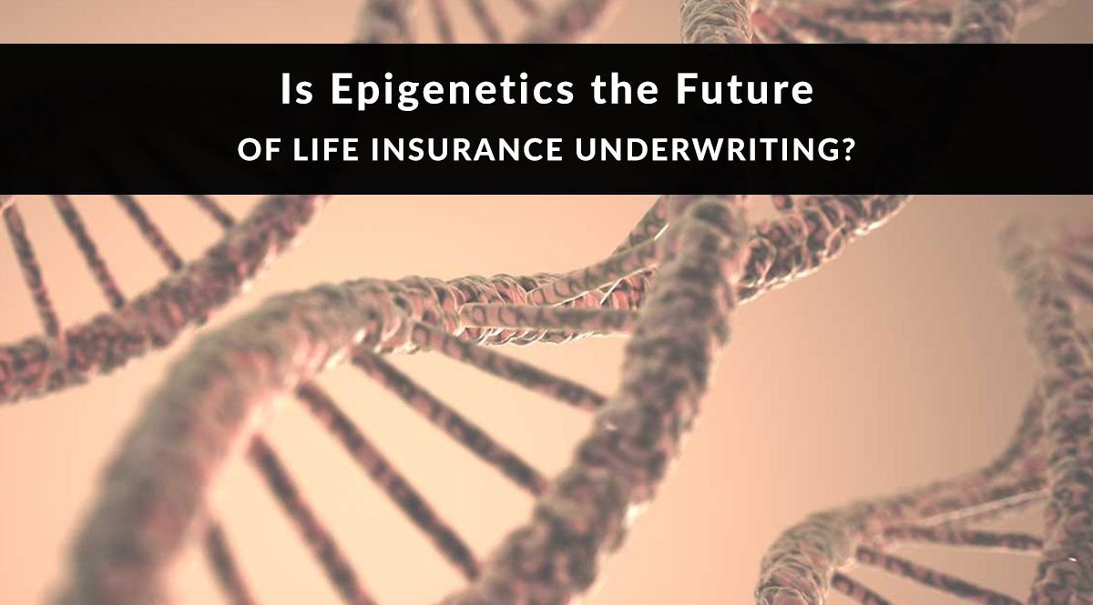 Is Epigenetics the Future of Life Insurance Underwriting?